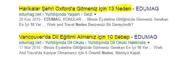16. Başlık, maksimum 48 karakterden oluşmalıdır.