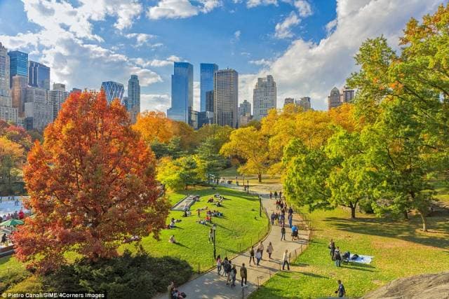 3. Central Park'ta sonbaharı yaşarsınız.