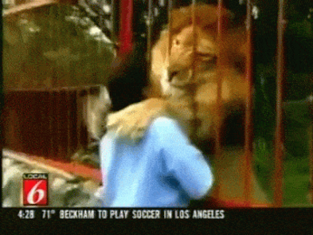 5. ''Türkleri sevmiyorlar.''