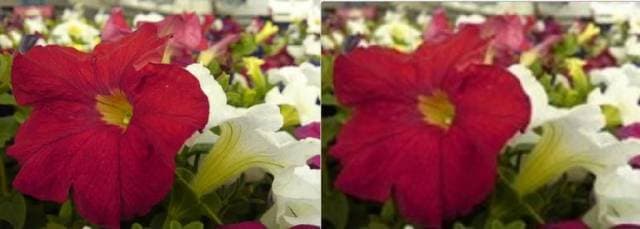 8. Görseller yüksek çözünürlüklü resimler/gifler arasından seçilmelidir.