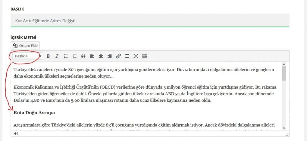 5. İçindekiler (Table of Contents) kullanın.