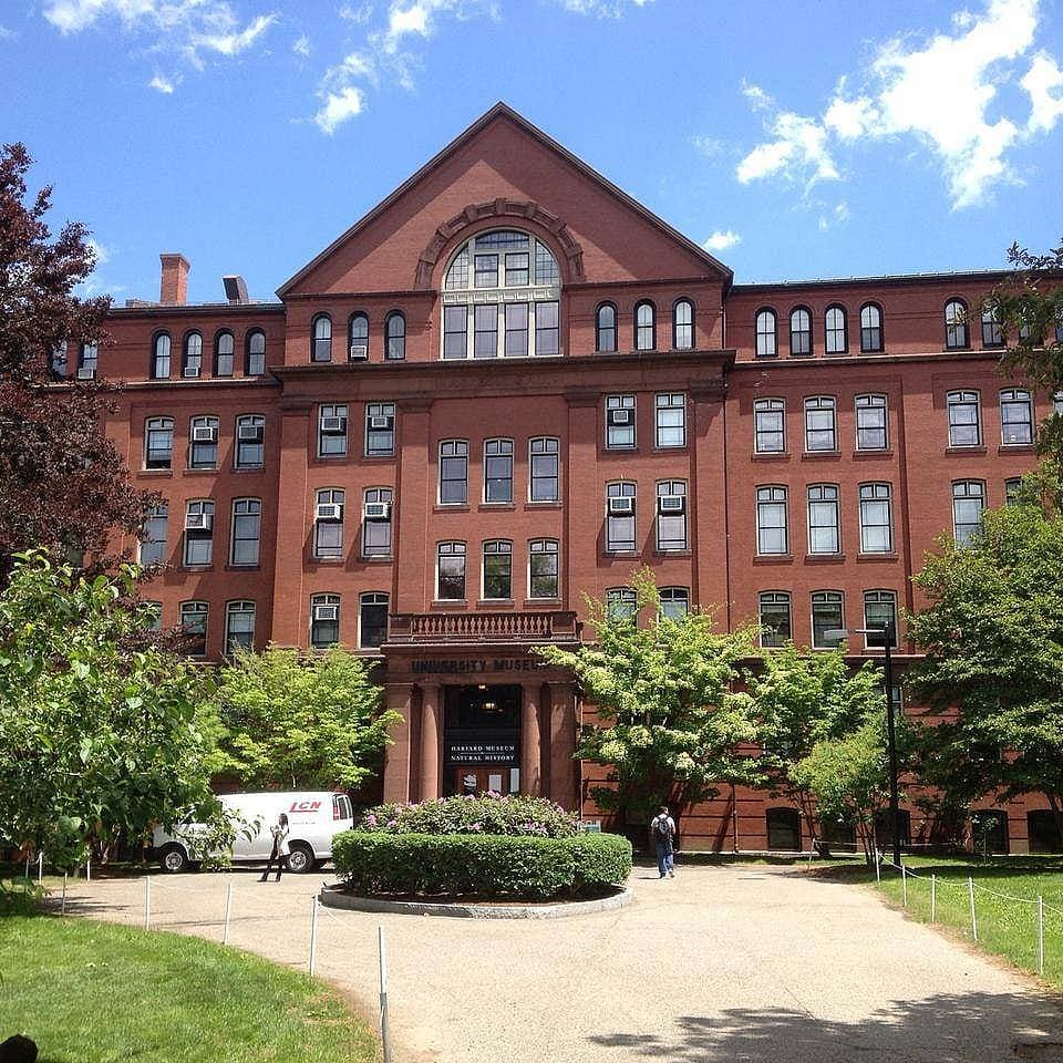 Cambridge'de Gündelik Yaşamdan Kareler