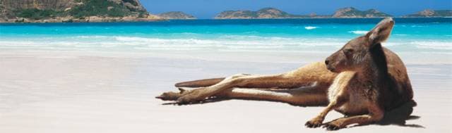 3. Mevsimleri ılık ve sıcak geçer.