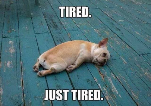 5. Çalışma saatleriniz uzundur.