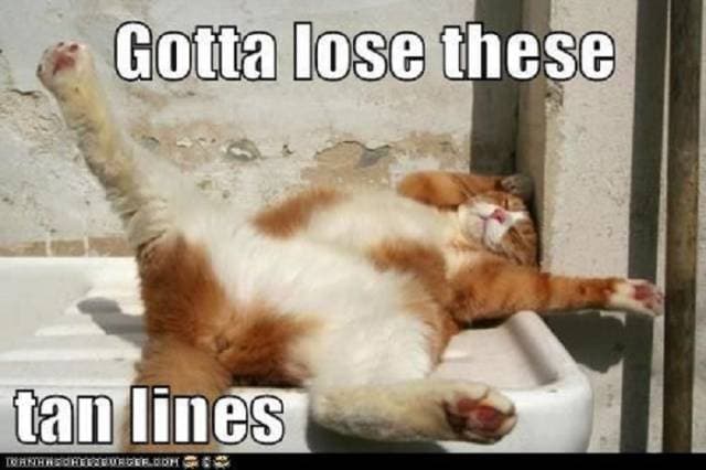 1. Güneşin altında çalışırsınız.