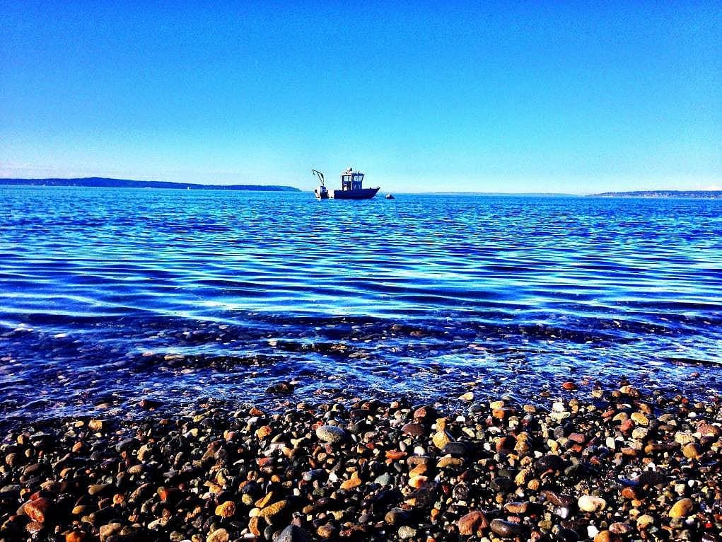 1. Discovery Park, Washington