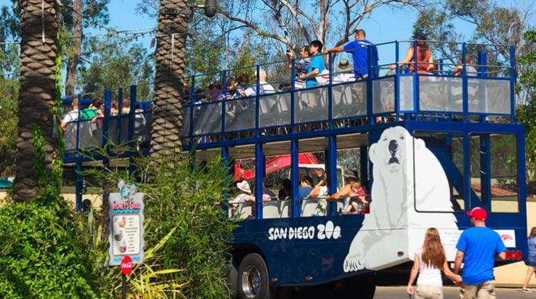 6. San Diego Zoo'da safari turu yapabilirsiniz.