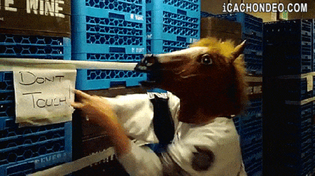 9. Çılgın kararlar vererek maceranıza heyecan katın.