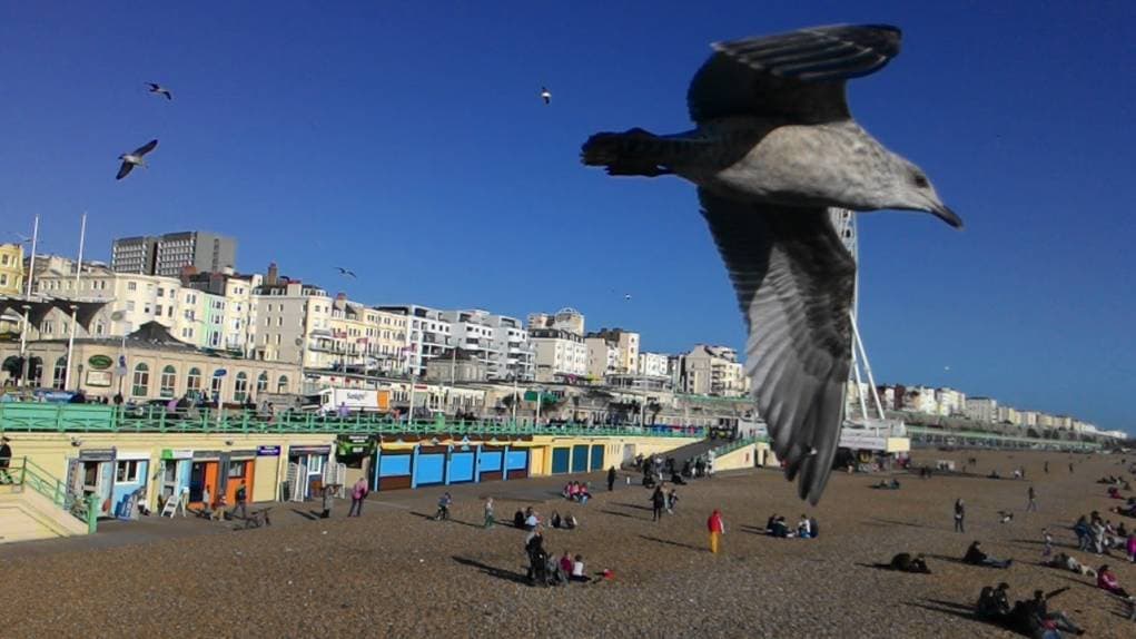 12. Gelelim bu şehrin bir de sosyallik boyutuna..