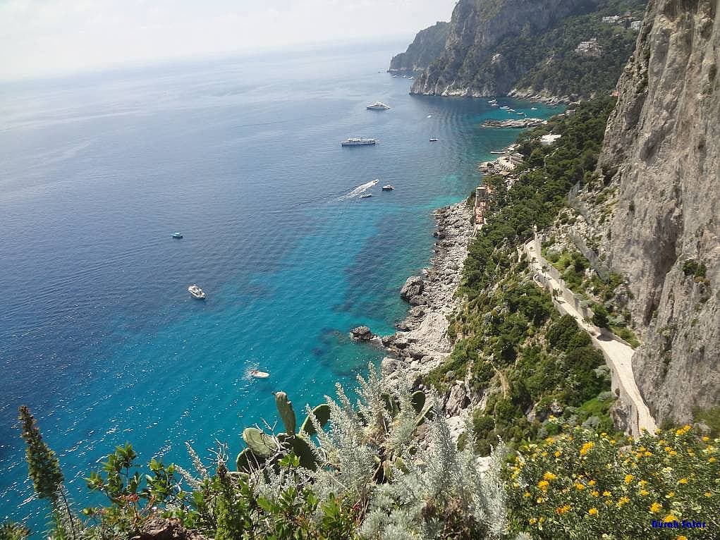 12. Eşşiz denizleri