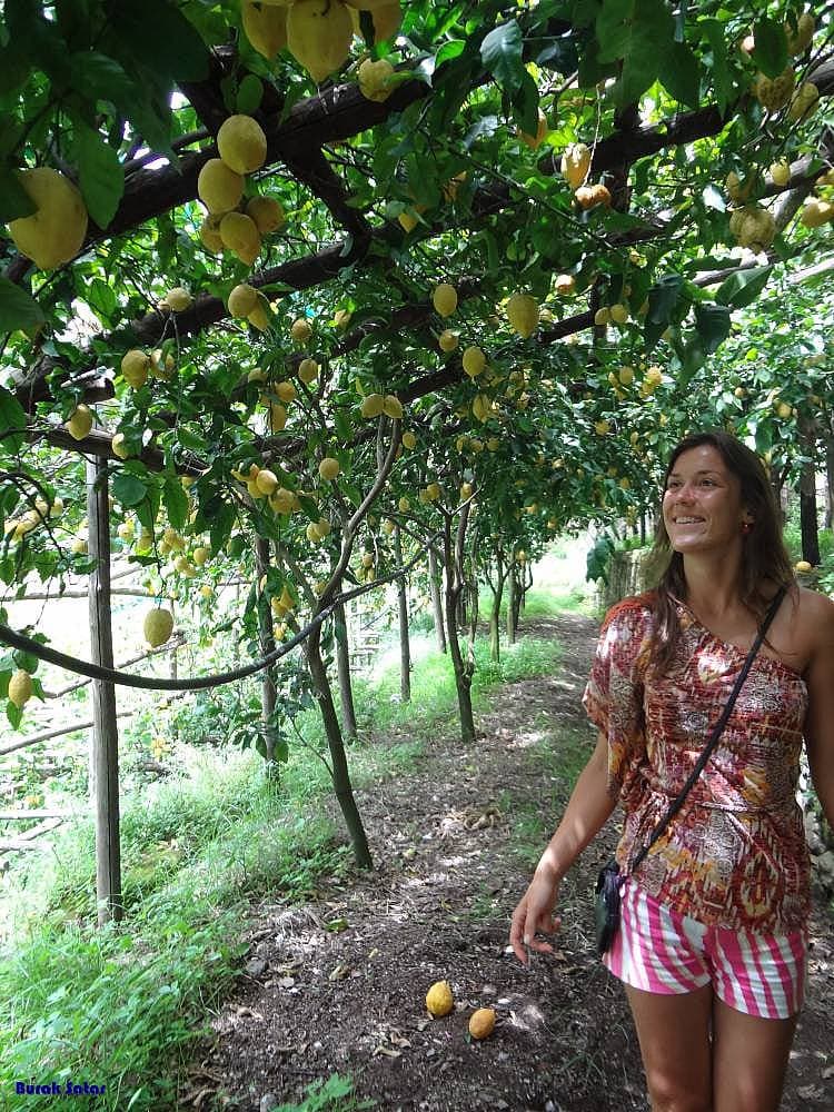 11. Doğal güzellikleri