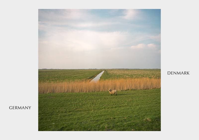 26. Almanya – Danimarka