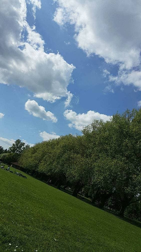 9. Yemyeşil doğa harikası parkları var.