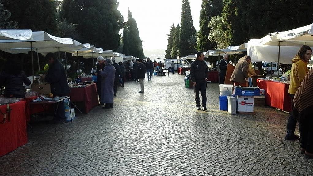 15. Lizbon'da pazar kuruldu dediler, geldik.