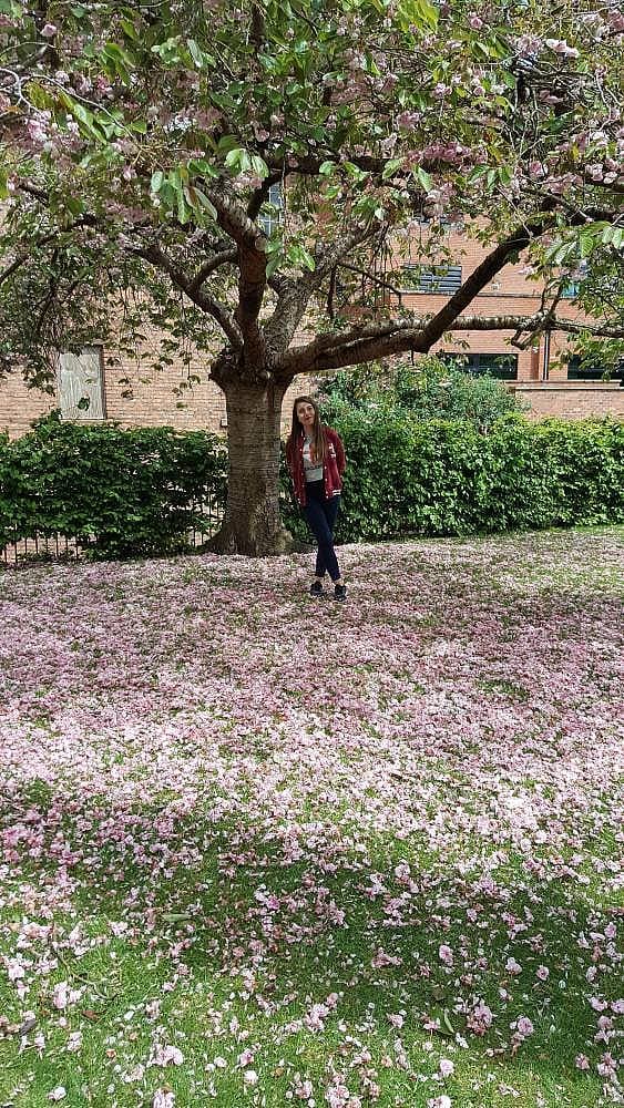 25. Chester Botanic Garden