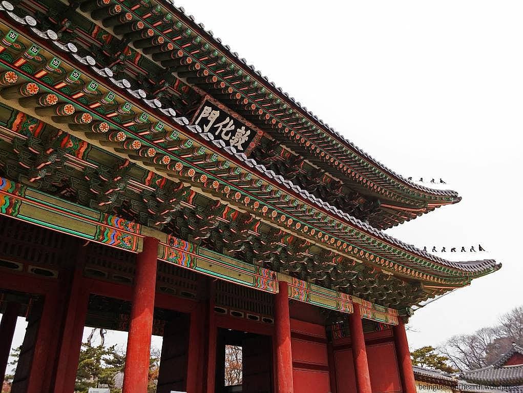 2. Katar aktarmalı uçuşumla Şubat'ın 19'unda Güney Kore’ye vardım.