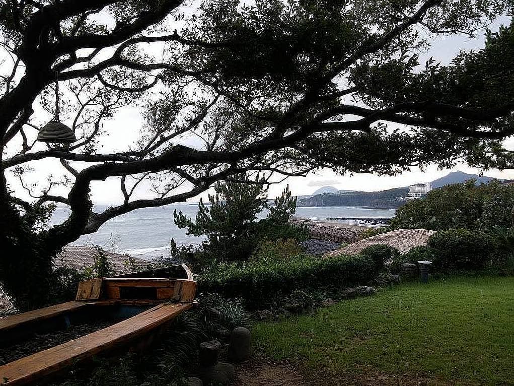 15. Jeju Adası benim Türkiye'ye dönmeden gerçekleştirdiğim son gezimdi.