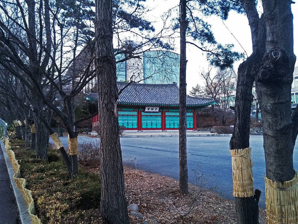 4. Samsung Destekli SKKU