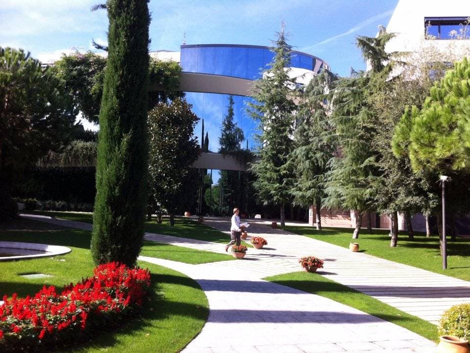 7. IESE Business School / İspanya