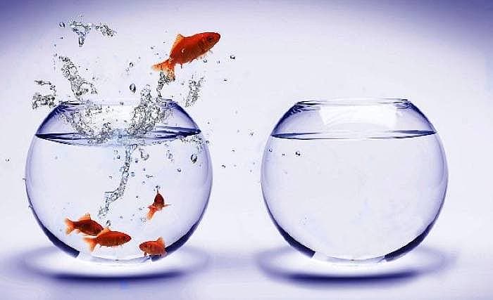 4. Farkındalıklı olma yolunda ilerlersiniz.