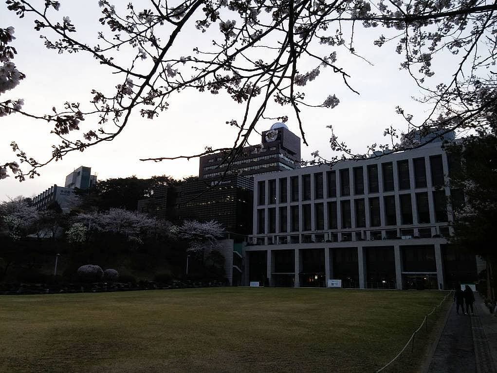 9. Okulun değişim öğrencilerine eğitim ücreti almayacağı bir programdı bu.