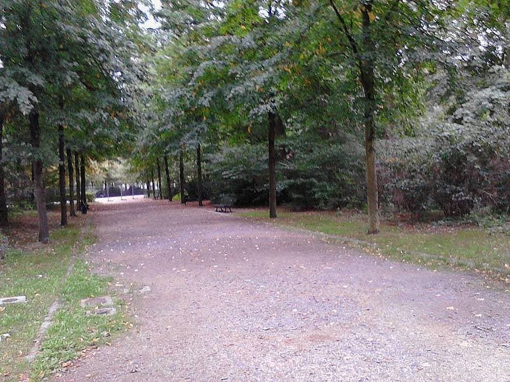 13. Hem büyükşehir hem her yeri yemyeşil.