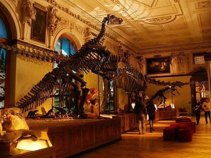 9. Doğa Tarihi Müzesi