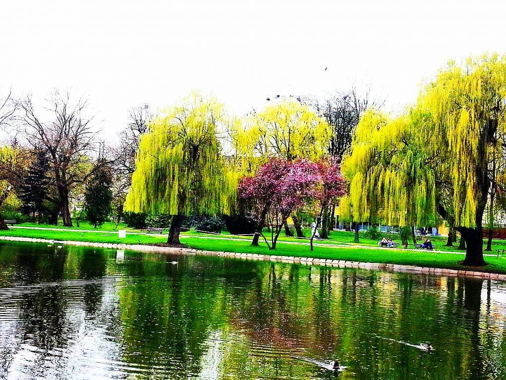 17. Polonya'nın doğal güzellikleri muhteşem!