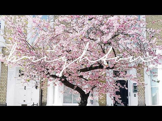 Londra ve Brighton Seyahati – Vlog 2