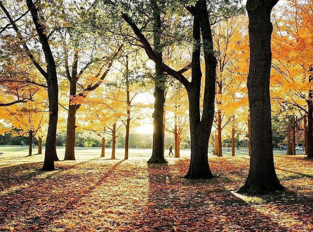 13. Dört mevsimi de doyasıya yaşayabileceğiniz bir ülkedir.