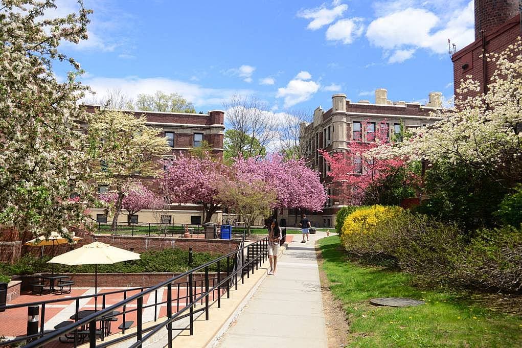 3. Kings Colleges (Kings Education)