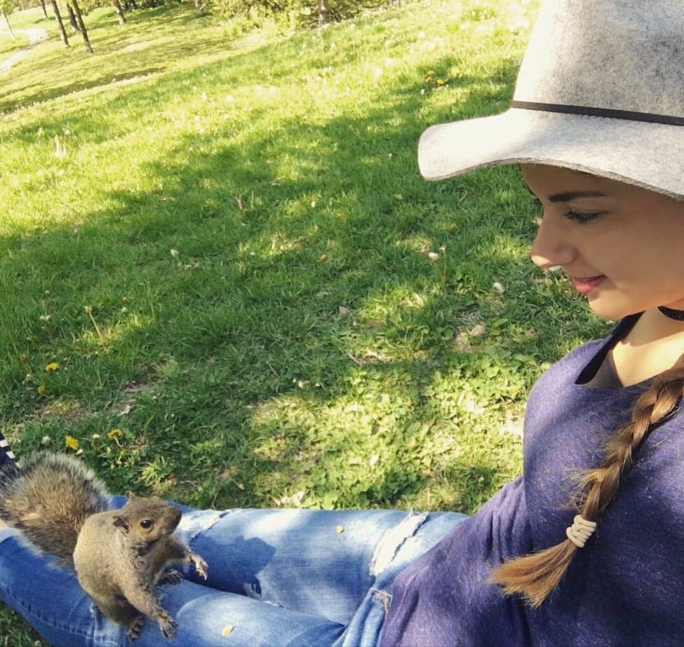 9. Kanada'da insan nüfusundan çok sincap var desem?