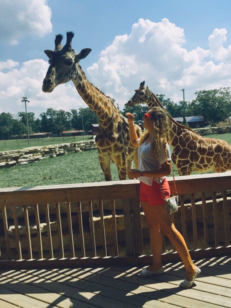 1. Neden ille de Wisconsin Dells?