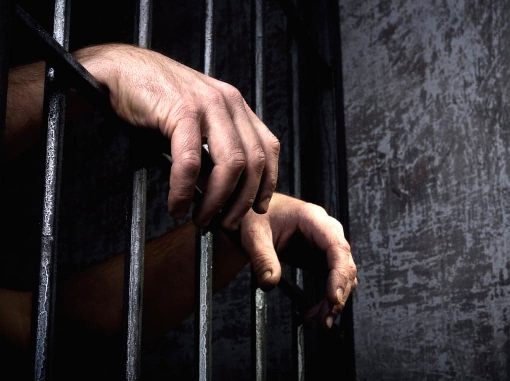 7. Avustralya halkının bir bölümü de köklerinin hırsızlara ve katillere uzandığını kabul edebilen tek ülkedir.