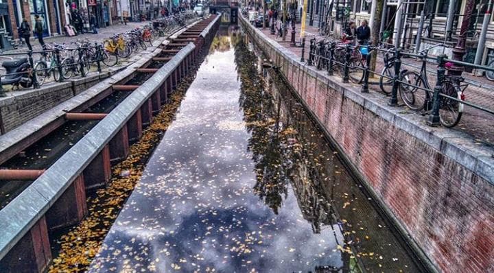 5. Hollanda desem bize neler söyleyebilirsin ?