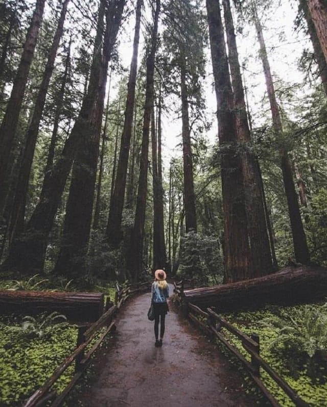 1. Tripod ve uzaktan kumanda kullanın.