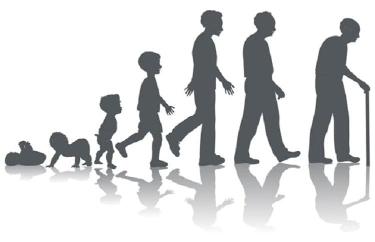 1. Hayatınızdaki tüm basamaklar için sizi destekler.