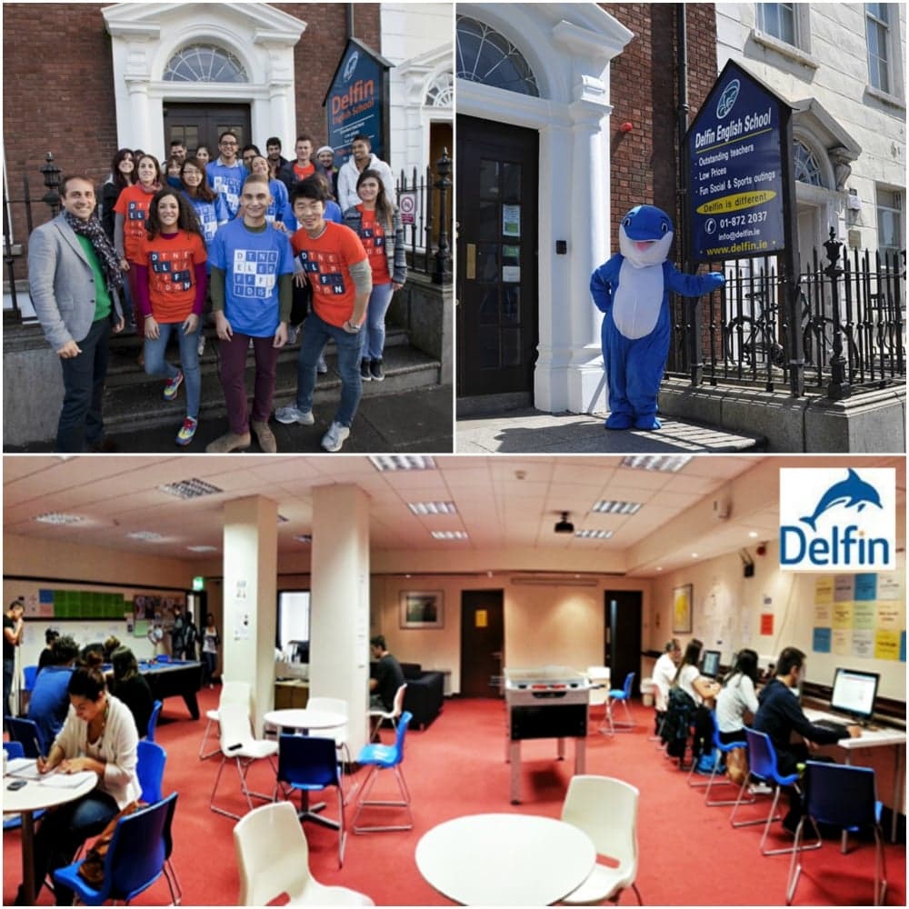 3. Delfin English School