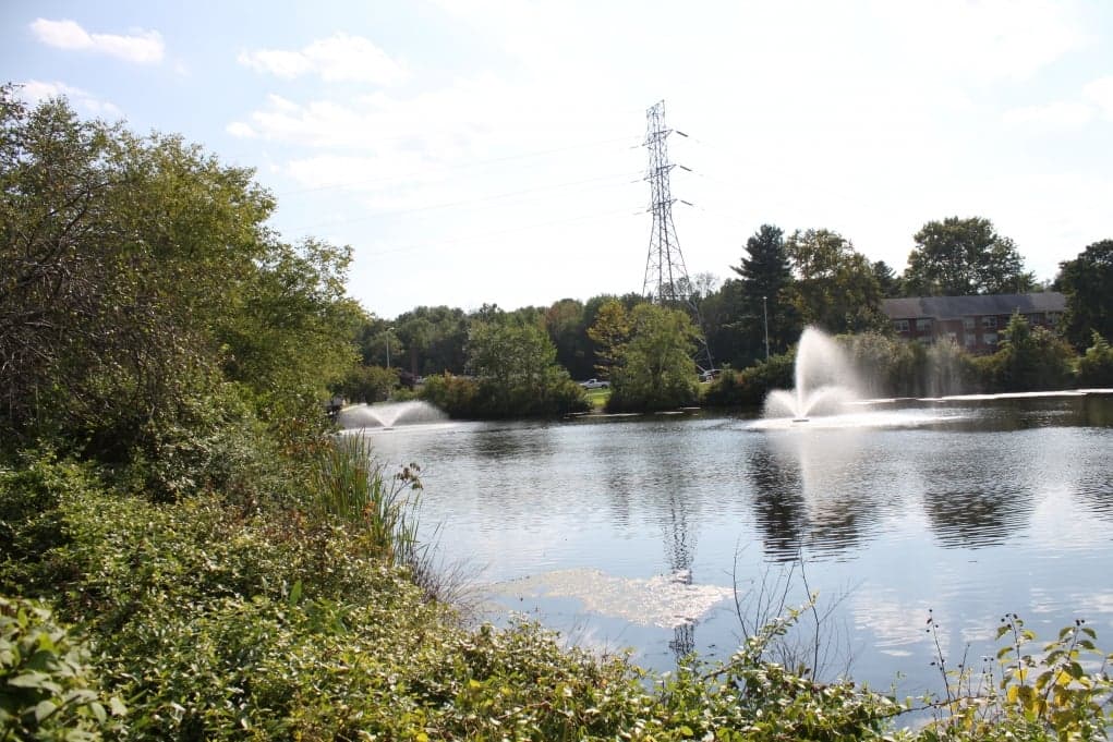 10. Gün sonunda kendine huzuru armağan edersin.