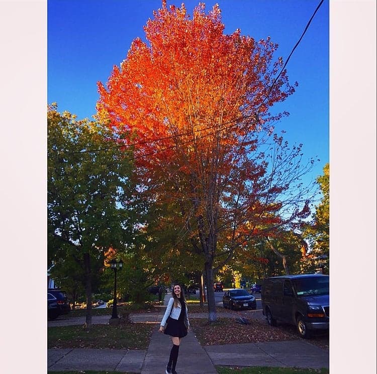 28. Yaşasın artık yasal olarak çalışabilirim!