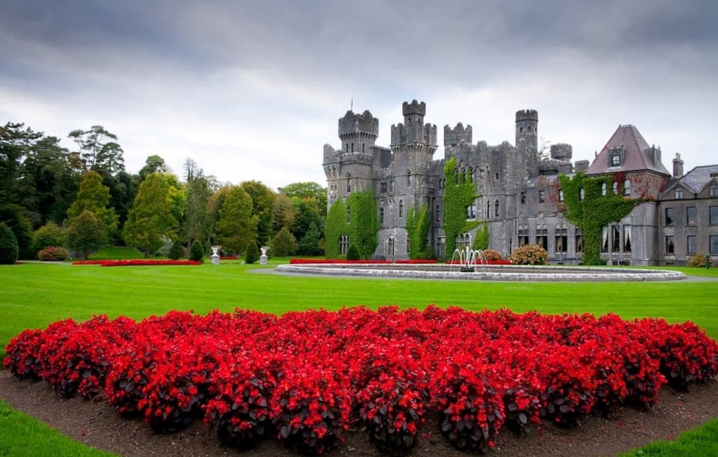 10. Abartısız her yer yemyeşil!