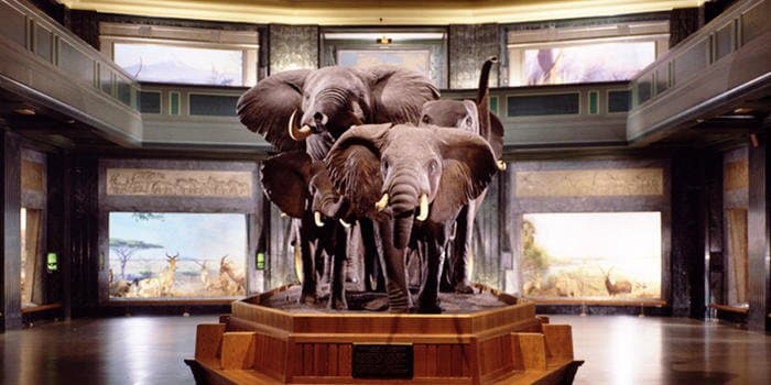 3. Müze ziyaretlerinde halk günlerini takip edin!