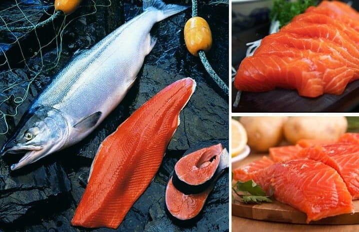 7. Balık yemeden dönmeyin.