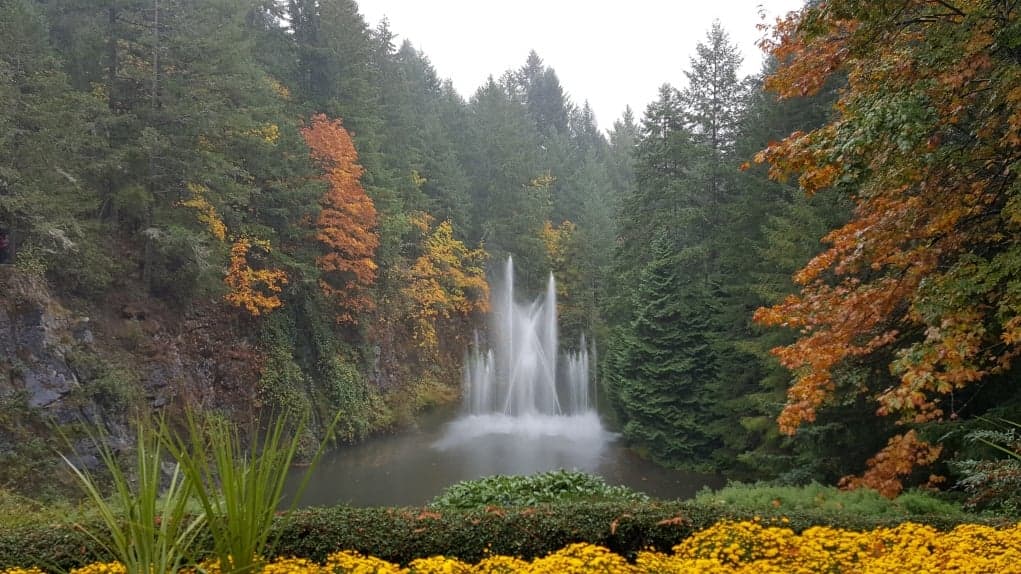 8. Vancouver’a geldiğinizde Victoria ve Whistler’a gidebilirsiniz.