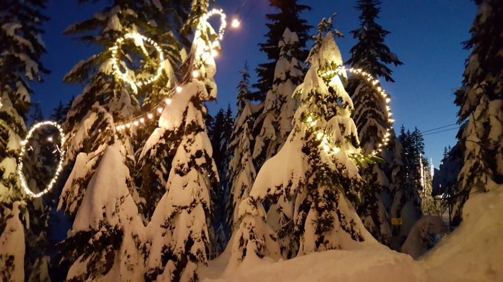 11. Vancouver’da günlük yaşam masrafları normal.