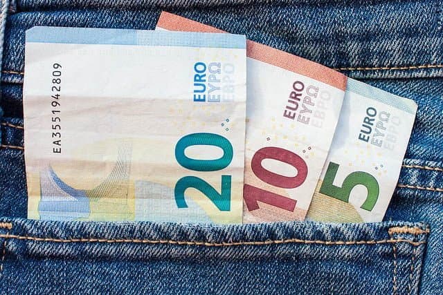 Hibesiz Erasmus ile Başa Çıkılır mı?