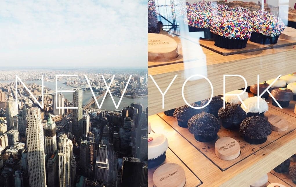Work and Travel New York Gezisi | Bir Günde Manhattan Bitti