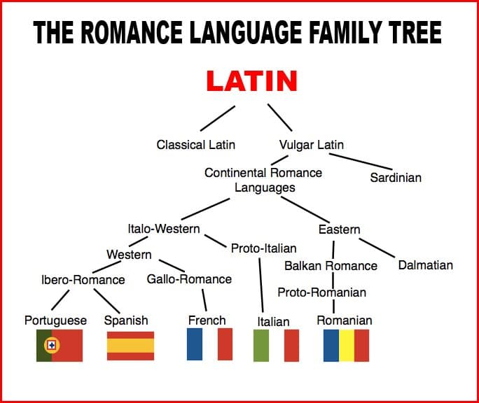 4. İspanyolca öğrendikten sonra diğer latin dillerini öğrenmek daha kolaydır.