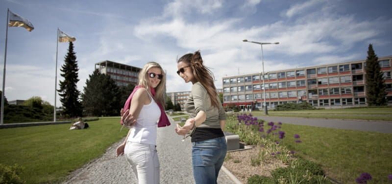 3. Eğitim ücretleri diğer ülkelere göre çok daha uygundur.