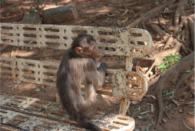 3. Hindistan çok tehlikelidir.